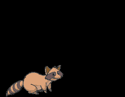 animals-madracooncrna.gif