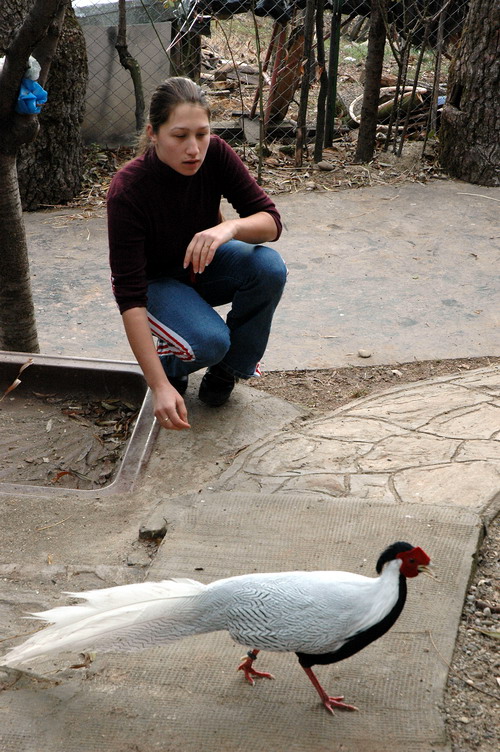 dsc_8017.jpg