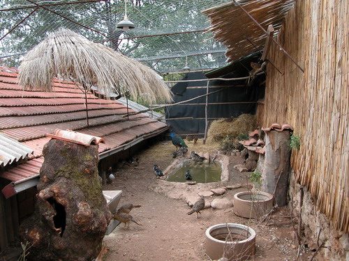 dscn1823.jpg