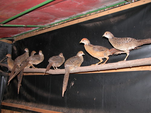 dscn1828.jpg