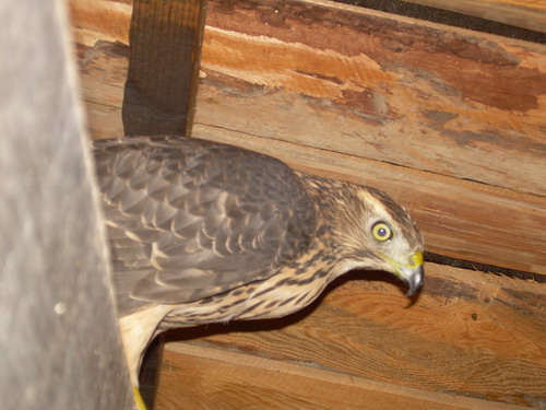 dscn4614.jpg