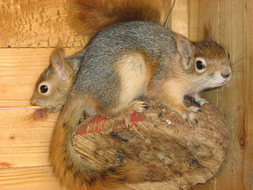 img_0342.jpg